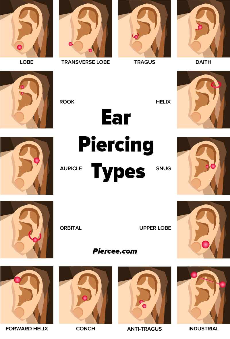 Ear Piercing Types