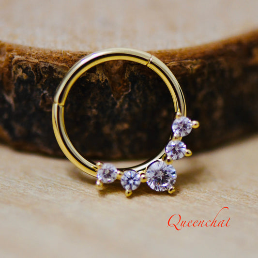 16G 316L S/S Eight CZ Petal Hinged Segment Ring Septum Ring Nose Ring